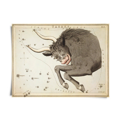 Vintage Zodiac Sign Astrology Print - Paxton Gate