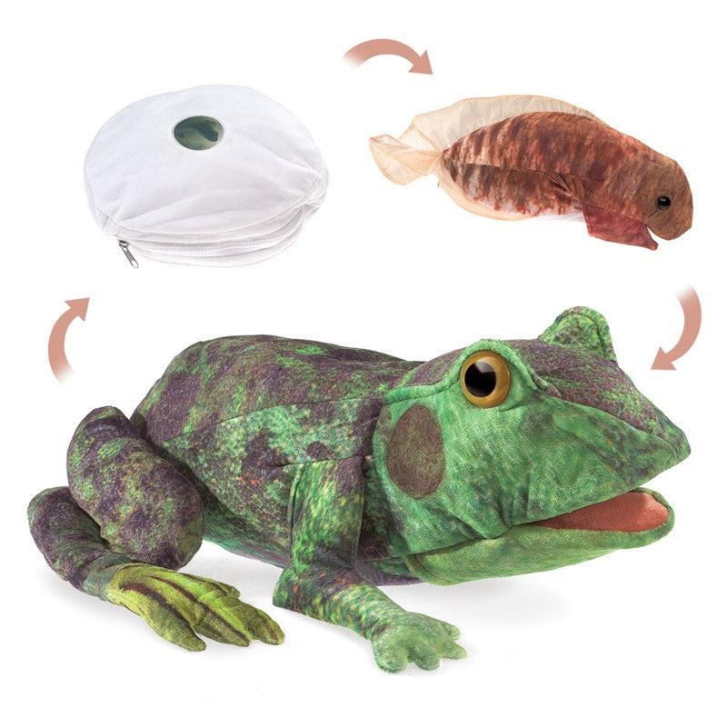 Frog Life Cycle Puppet - Paxton Gate