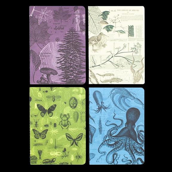 Natural Science Pocket Notebook 4-Pack - Paxton Gate