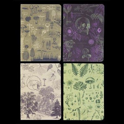 Plants & Fungi Pocket Notebook 4-Pack - Paxton Gate