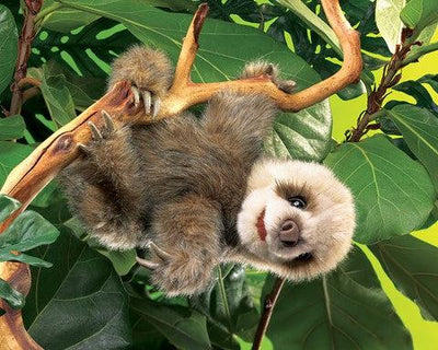 Baby Sloth Puppet - Paxton Gate