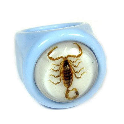 Real Golden Scorpion Ring - Paxton Gate